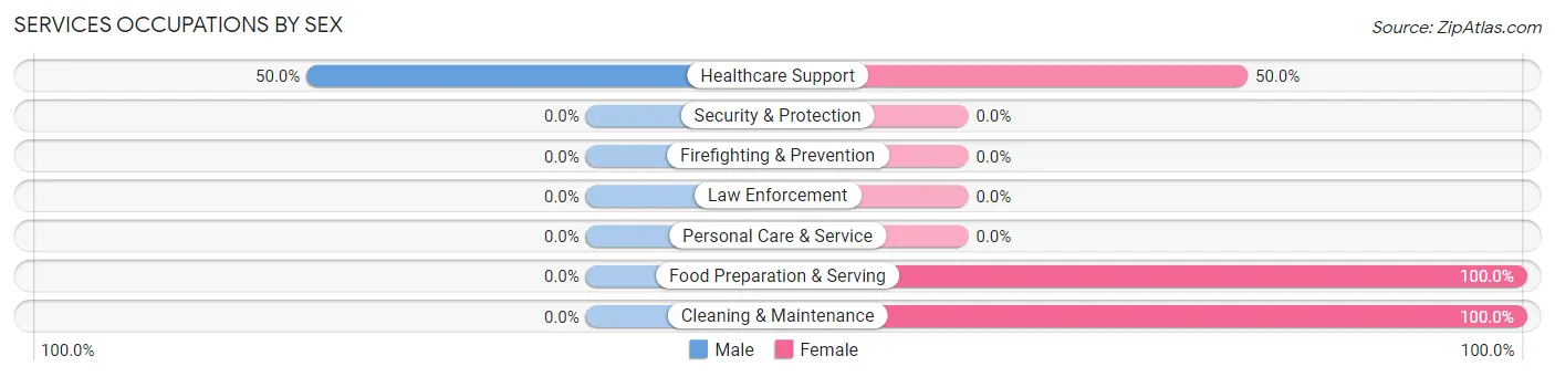 Services Occupations by Sex in Palmer