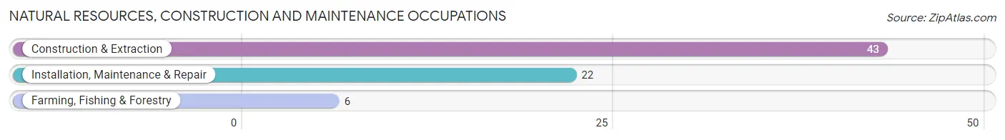 Natural Resources, Construction and Maintenance Occupations in Parkersburg