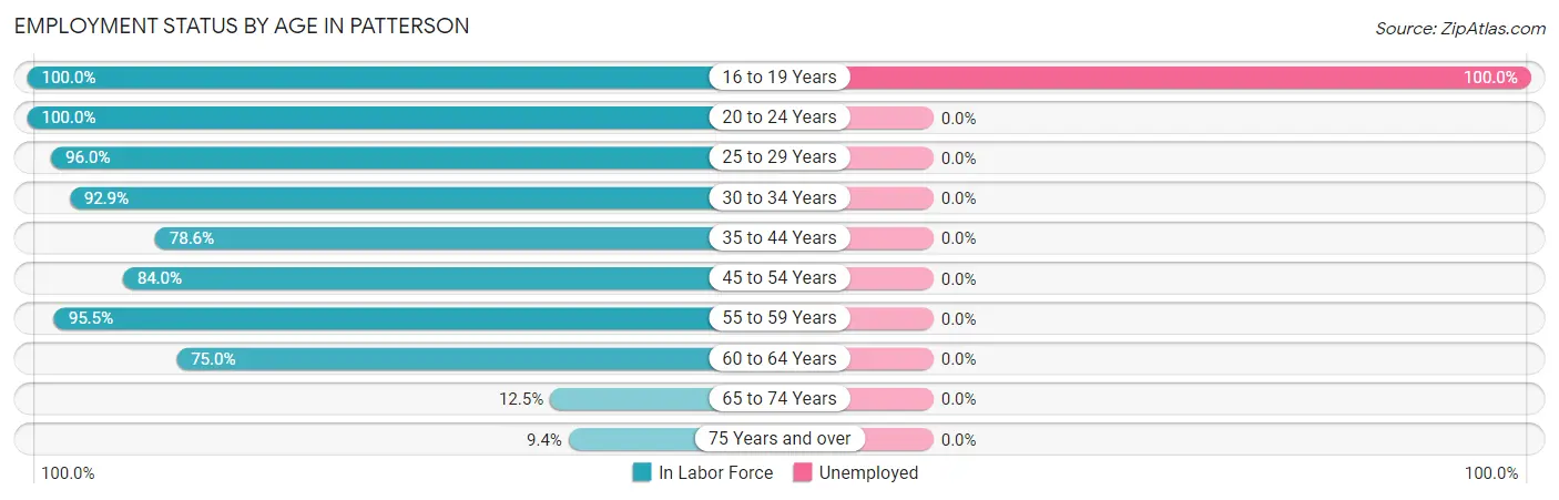 Employment Status by Age in Patterson