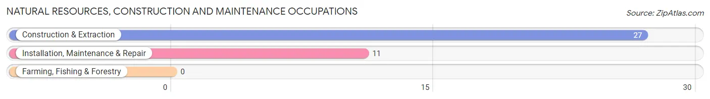 Natural Resources, Construction and Maintenance Occupations in Patterson