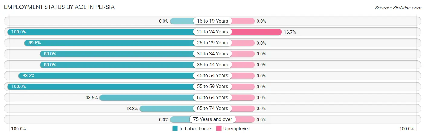 Employment Status by Age in Persia