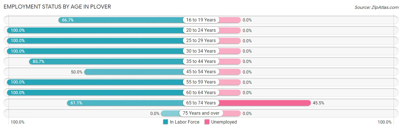 Employment Status by Age in Plover