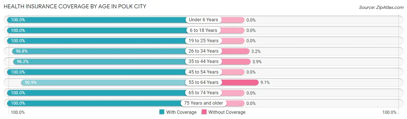 Health Insurance Coverage by Age in Polk City