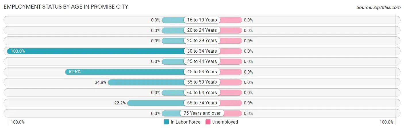 Employment Status by Age in Promise City