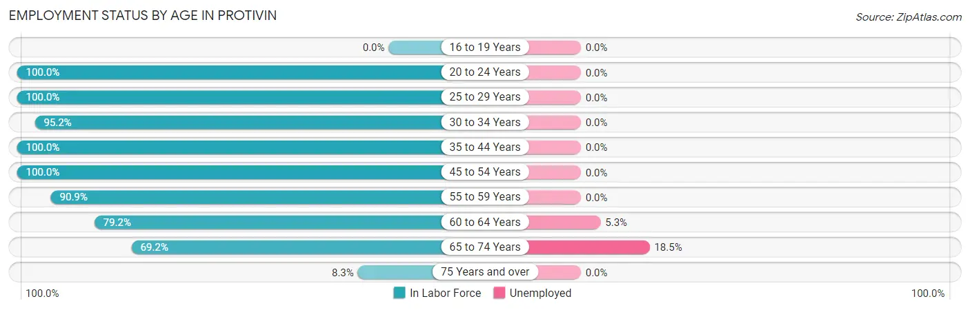 Employment Status by Age in Protivin