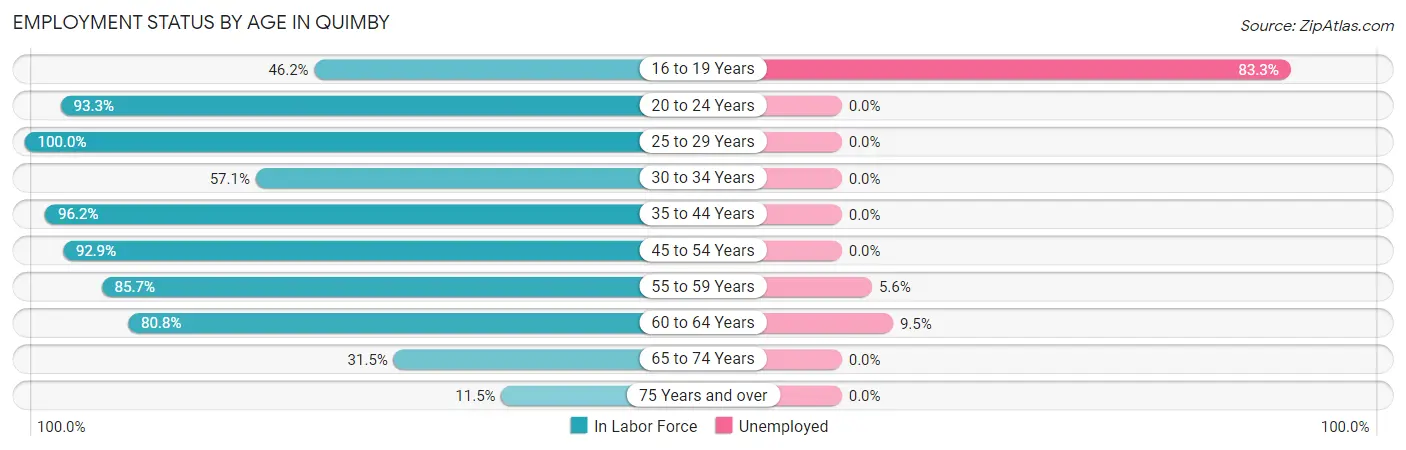 Employment Status by Age in Quimby