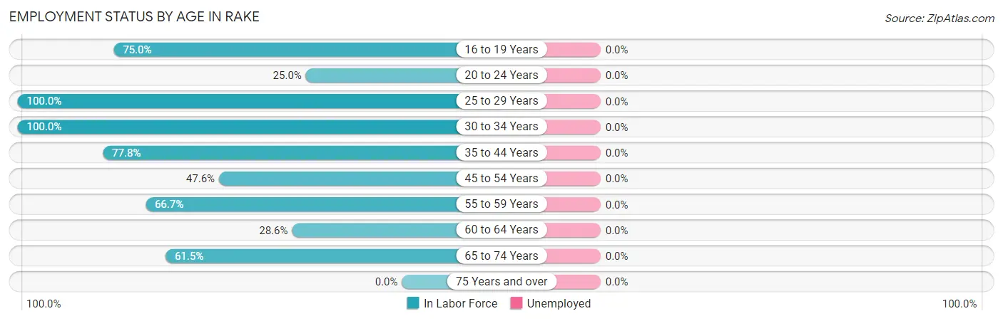 Employment Status by Age in Rake