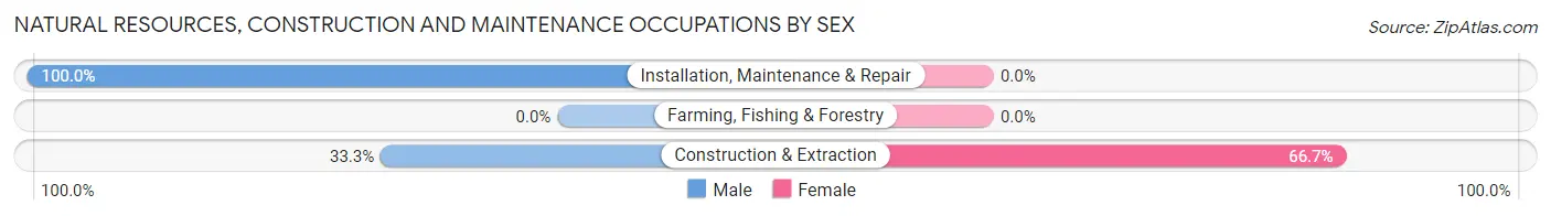 Natural Resources, Construction and Maintenance Occupations by Sex in Randalia