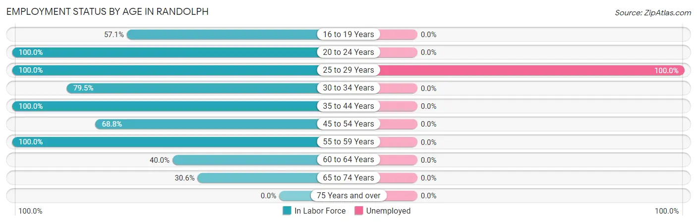 Employment Status by Age in Randolph