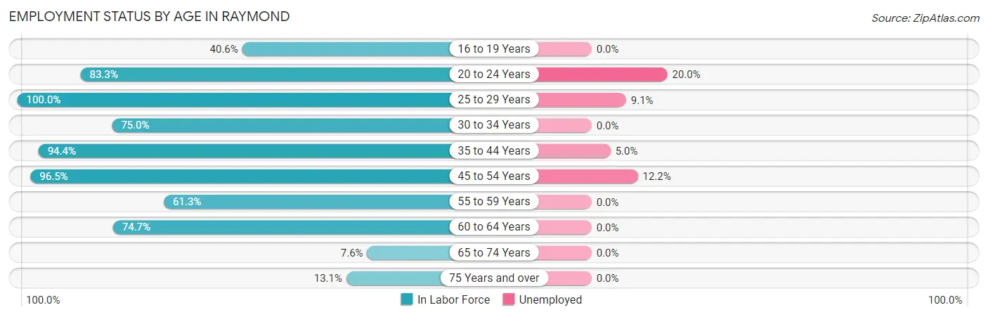 Employment Status by Age in Raymond