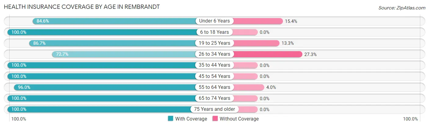 Health Insurance Coverage by Age in Rembrandt