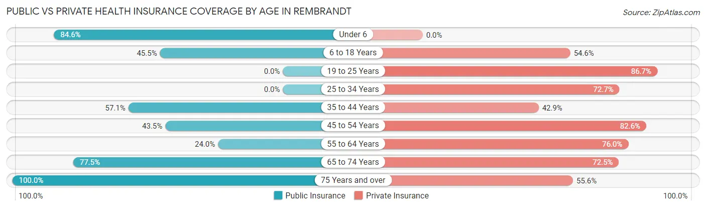Public vs Private Health Insurance Coverage by Age in Rembrandt