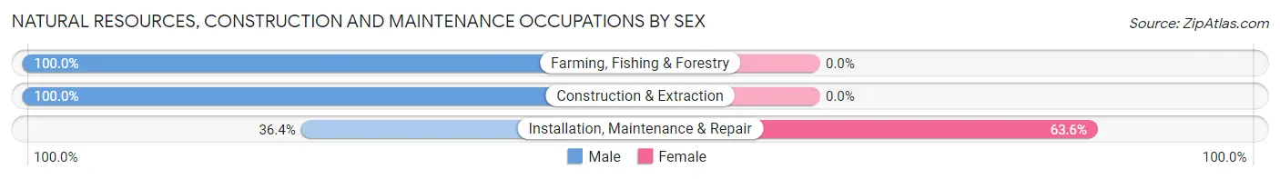 Natural Resources, Construction and Maintenance Occupations by Sex in Rhodes