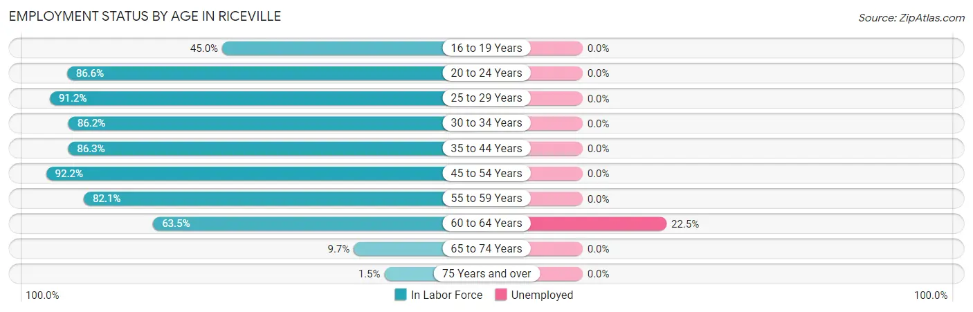 Employment Status by Age in Riceville