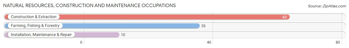 Natural Resources, Construction and Maintenance Occupations in Riceville