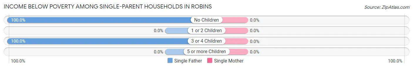 Income Below Poverty Among Single-Parent Households in Robins