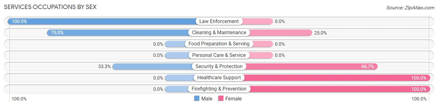 Services Occupations by Sex in Rock Falls