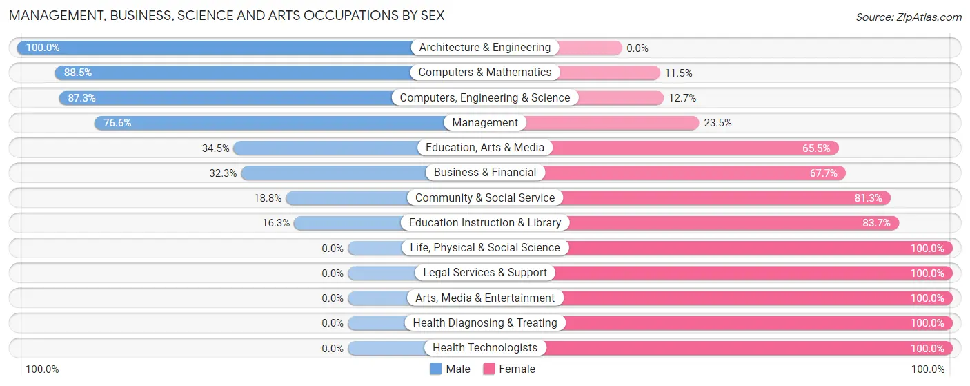 Management, Business, Science and Arts Occupations by Sex in Rock Rapids