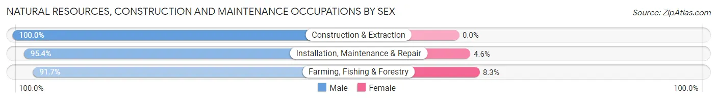 Natural Resources, Construction and Maintenance Occupations by Sex in Rockwell City