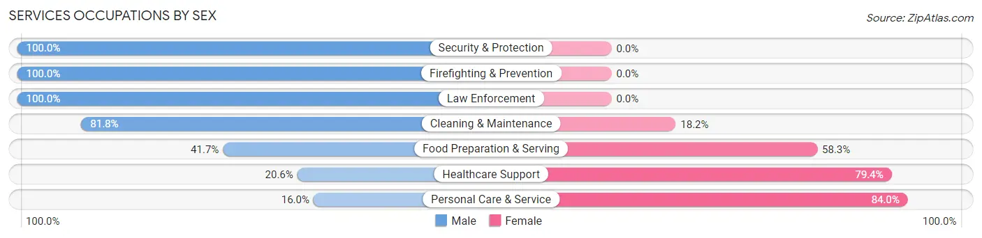 Services Occupations by Sex in Rockwell City