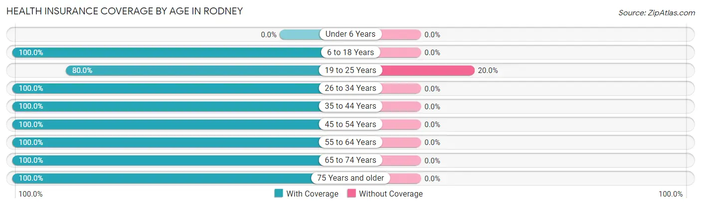 Health Insurance Coverage by Age in Rodney