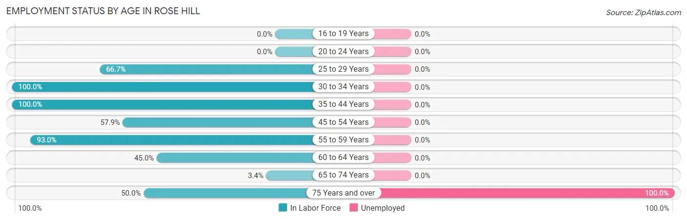 Employment Status by Age in Rose Hill