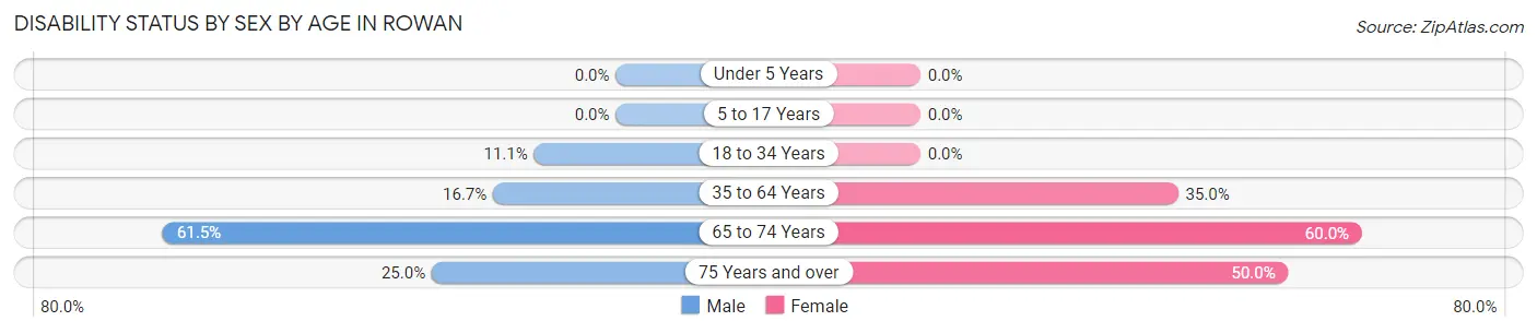 Disability Status by Sex by Age in Rowan