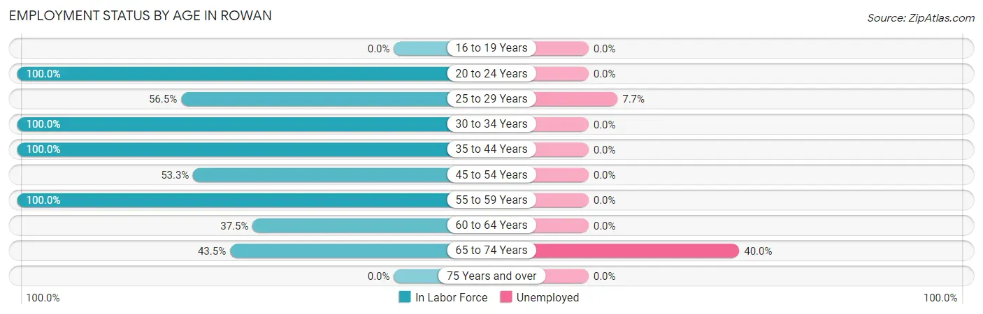 Employment Status by Age in Rowan
