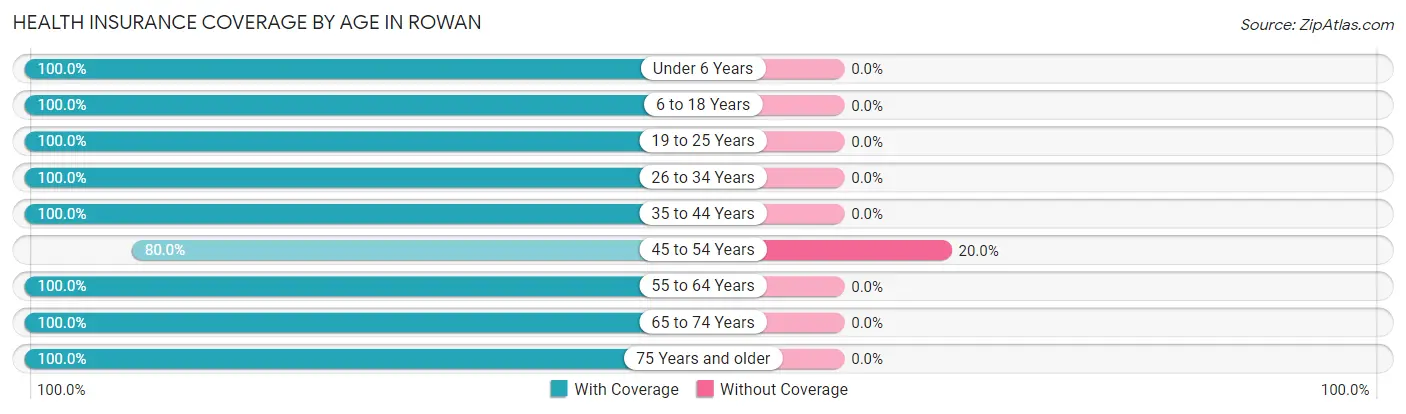Health Insurance Coverage by Age in Rowan