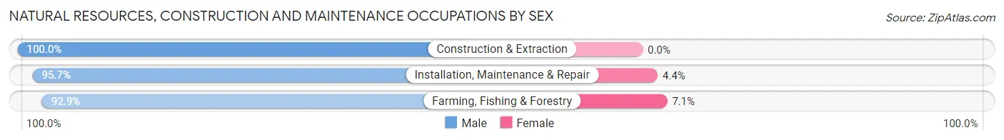 Natural Resources, Construction and Maintenance Occupations by Sex in Rudd