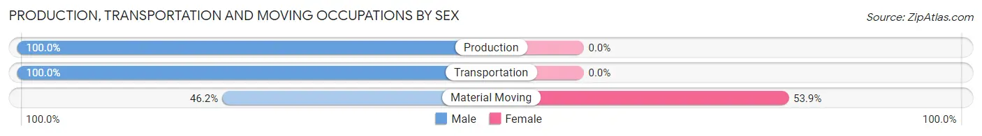 Production, Transportation and Moving Occupations by Sex in Runnells