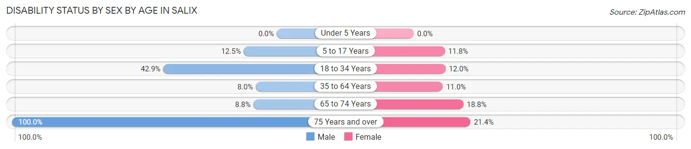 Disability Status by Sex by Age in Salix