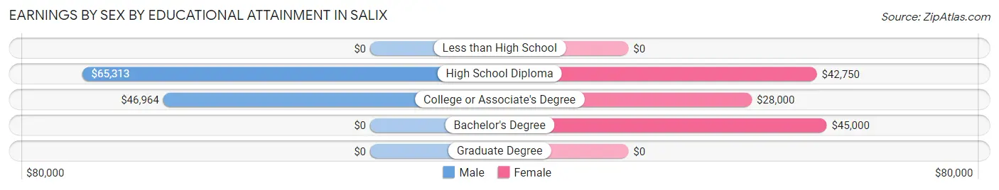 Earnings by Sex by Educational Attainment in Salix