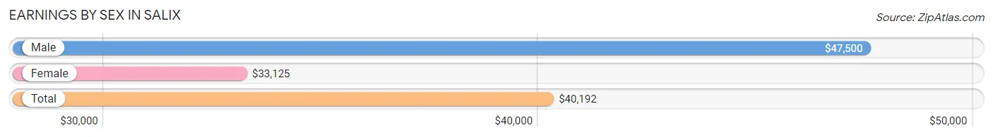 Earnings by Sex in Salix