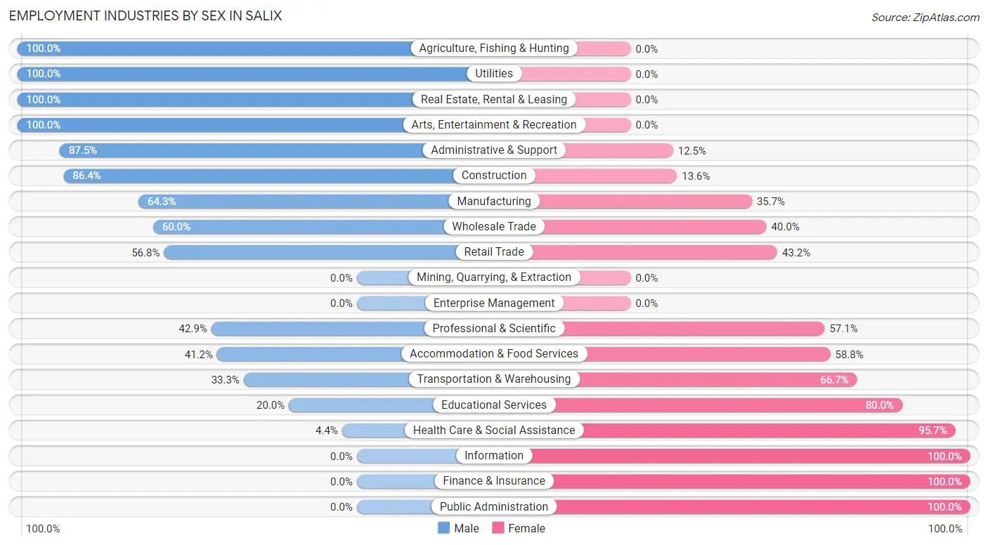 Employment Industries by Sex in Salix