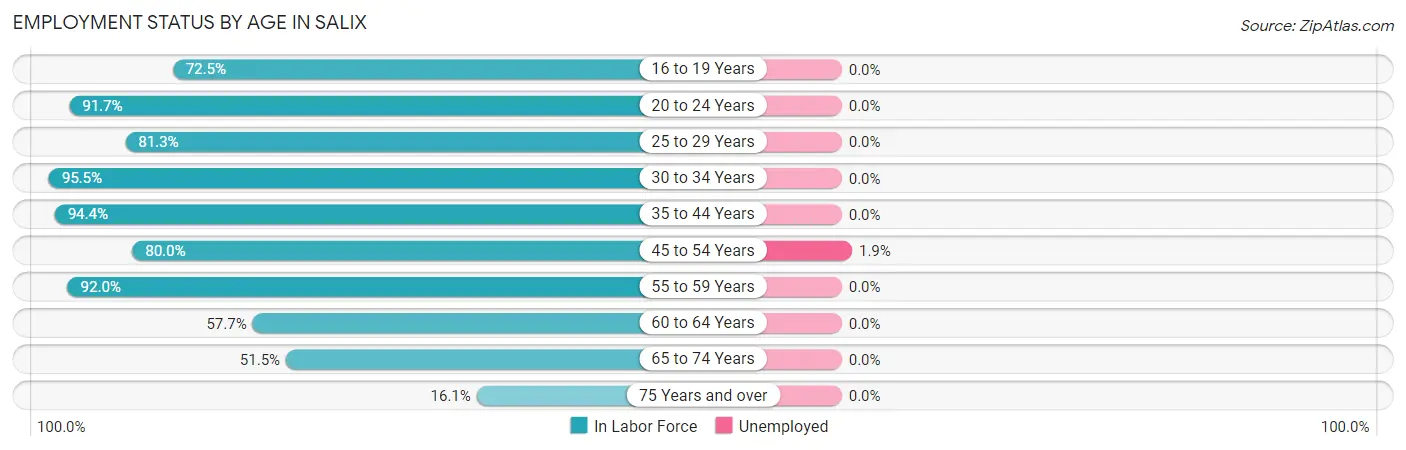 Employment Status by Age in Salix