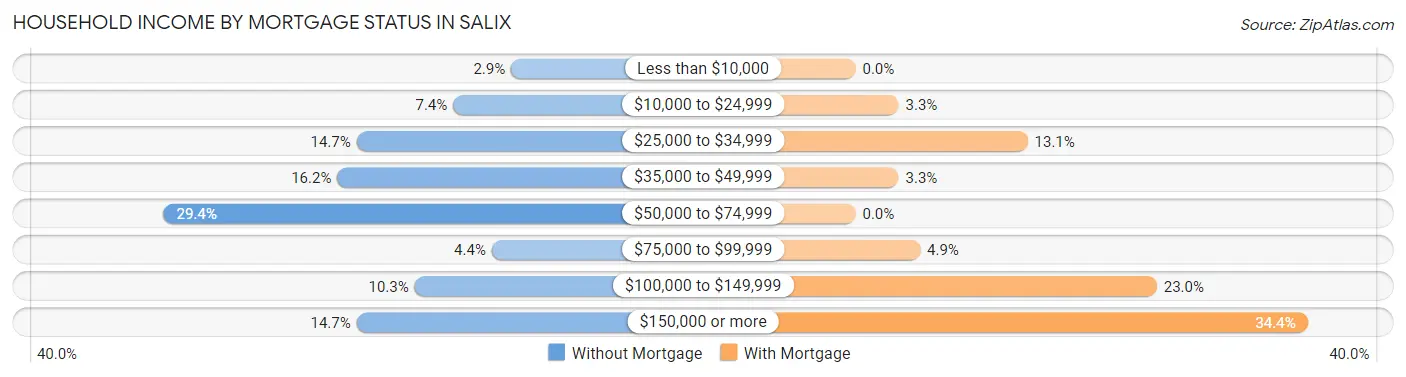 Household Income by Mortgage Status in Salix