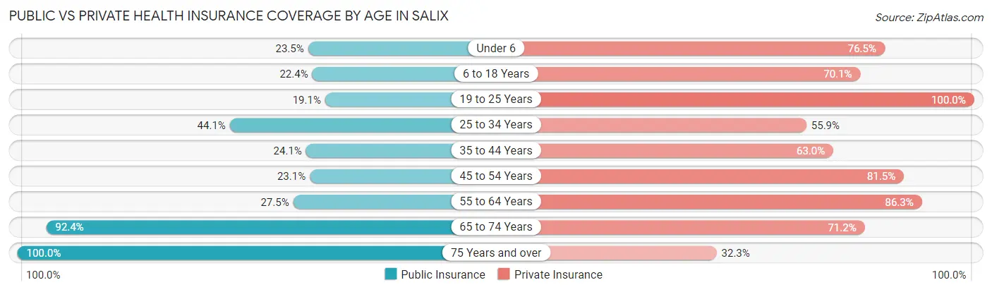 Public vs Private Health Insurance Coverage by Age in Salix