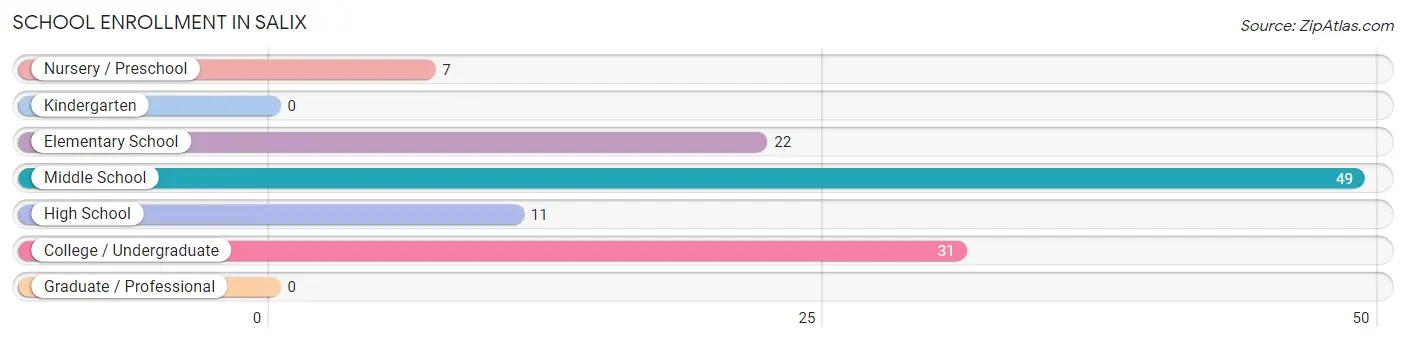 School Enrollment in Salix