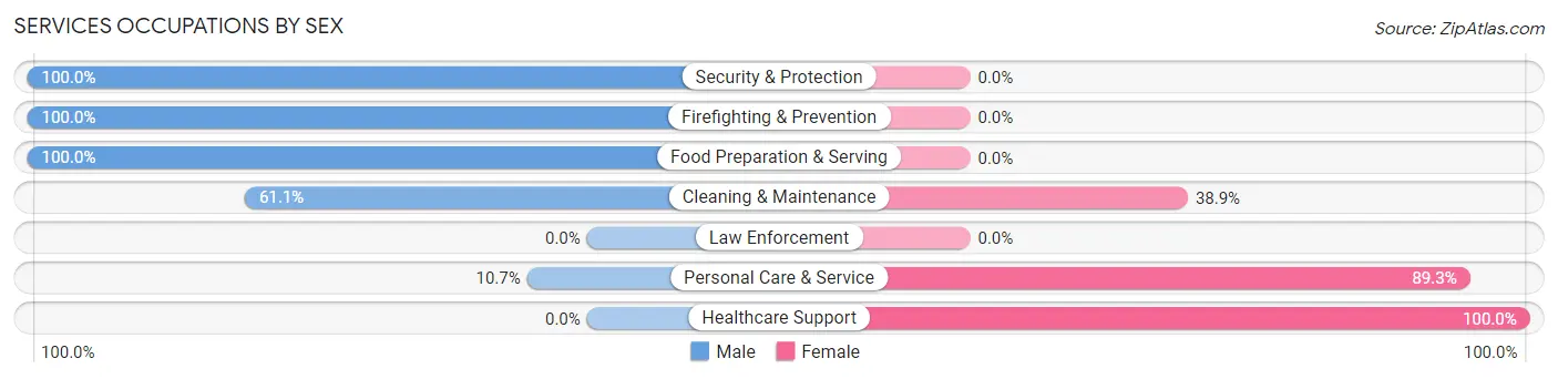 Services Occupations by Sex in Salix