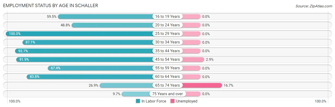 Employment Status by Age in Schaller