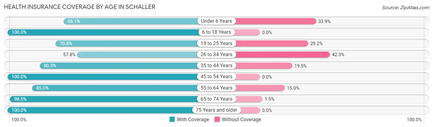 Health Insurance Coverage by Age in Schaller