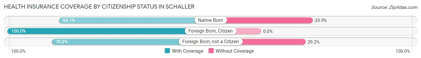 Health Insurance Coverage by Citizenship Status in Schaller