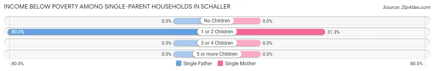 Income Below Poverty Among Single-Parent Households in Schaller