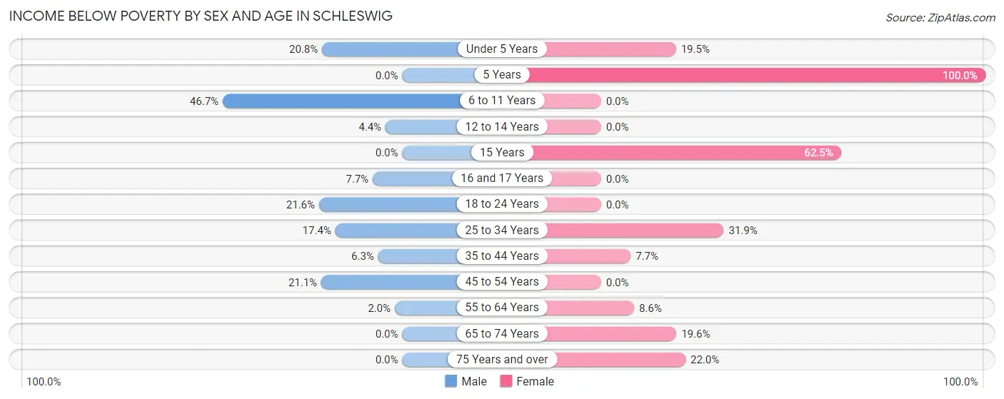 Income Below Poverty by Sex and Age in Schleswig
