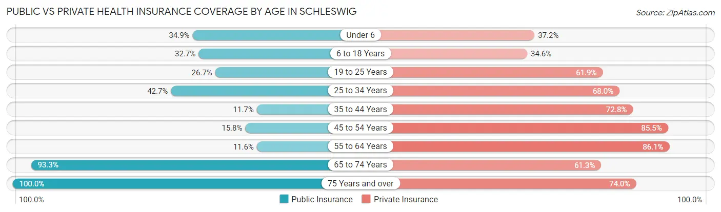 Public vs Private Health Insurance Coverage by Age in Schleswig