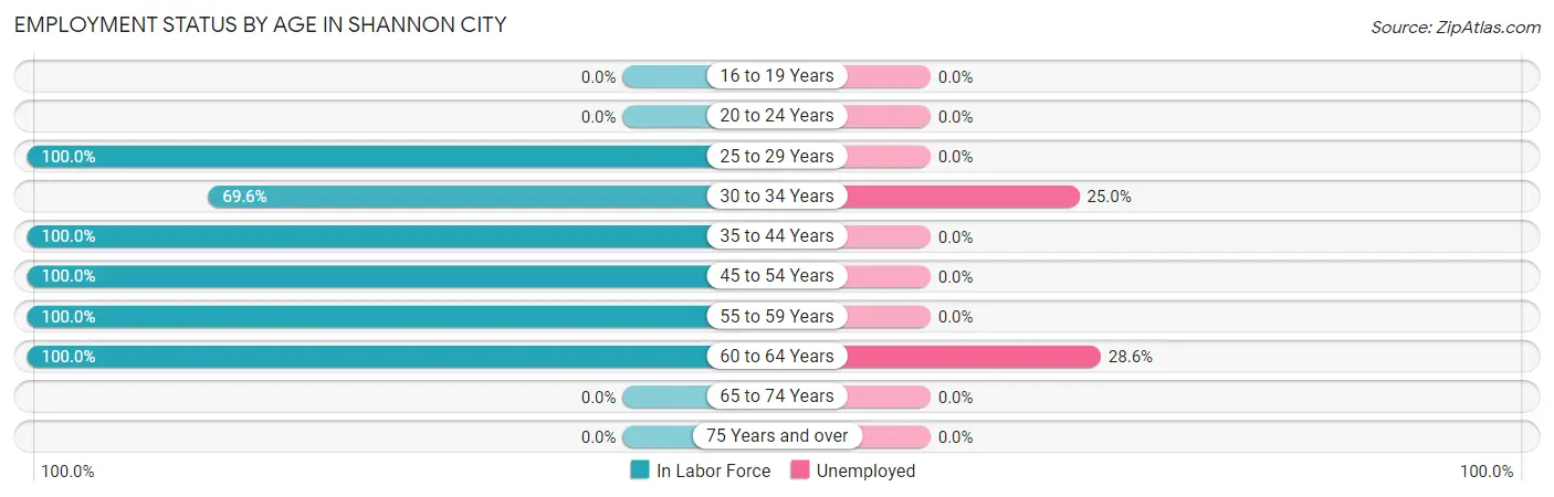 Employment Status by Age in Shannon City