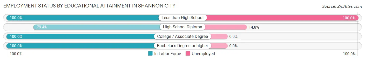 Employment Status by Educational Attainment in Shannon City