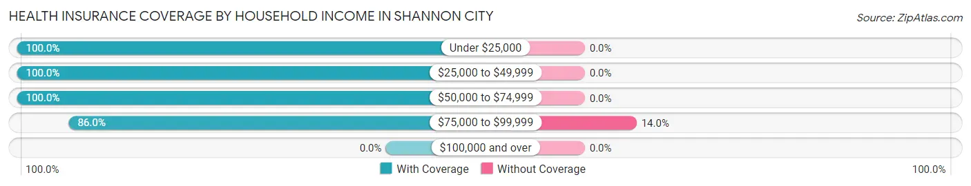 Health Insurance Coverage by Household Income in Shannon City