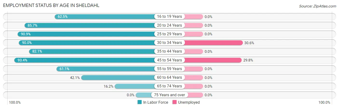 Employment Status by Age in Sheldahl